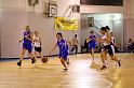 Basket 242055